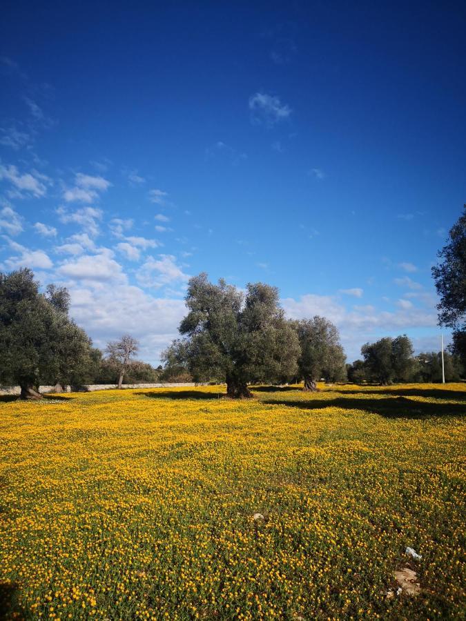 Le Dimore Di Mama Ceglie Messapica Εξωτερικό φωτογραφία