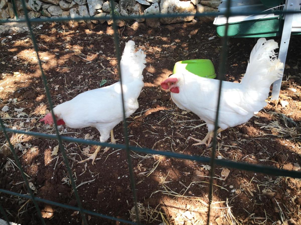 Le Dimore Di Mama Ceglie Messapica Εξωτερικό φωτογραφία